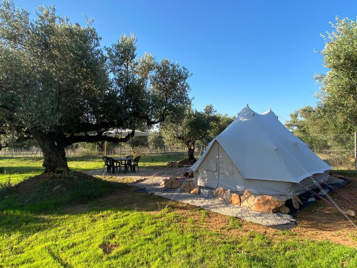 Paraiso Bell Tent 托尔托萨 外观 照片