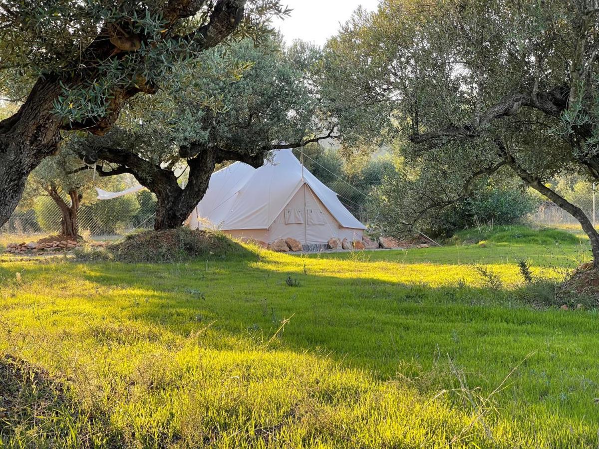 Paraiso Bell Tent 托尔托萨 外观 照片