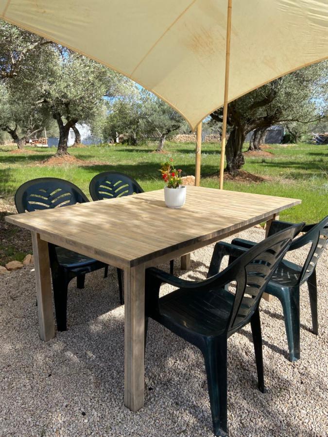 Paraiso Bell Tent 托尔托萨 外观 照片