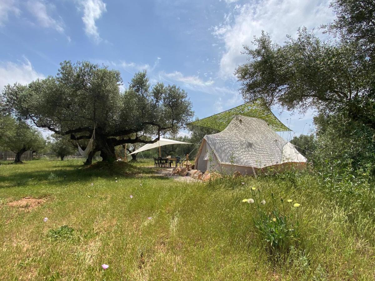 Paraiso Bell Tent 托尔托萨 外观 照片